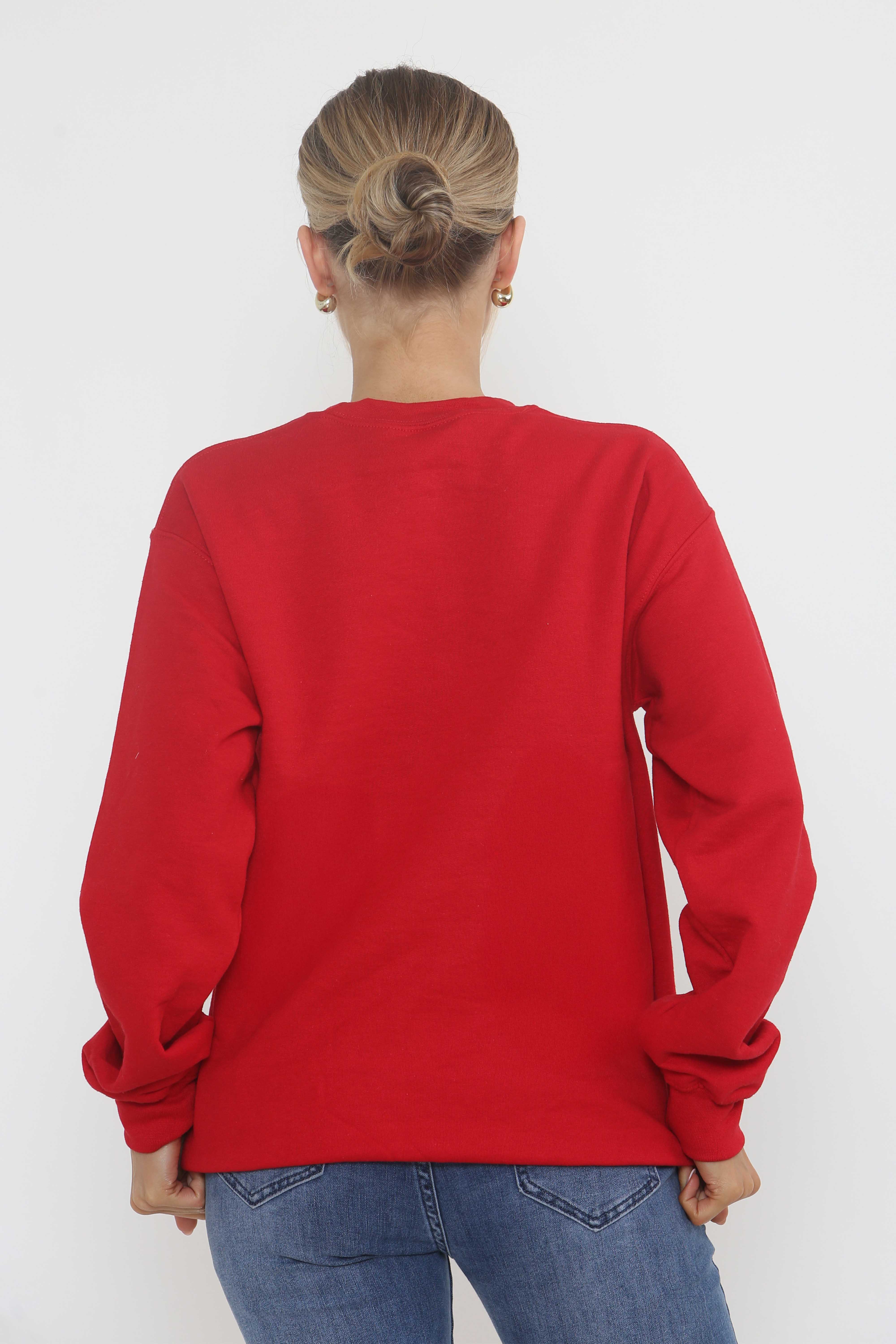 Unisex Heavy Blend Christmas Cat Embroidered Sweatshirt