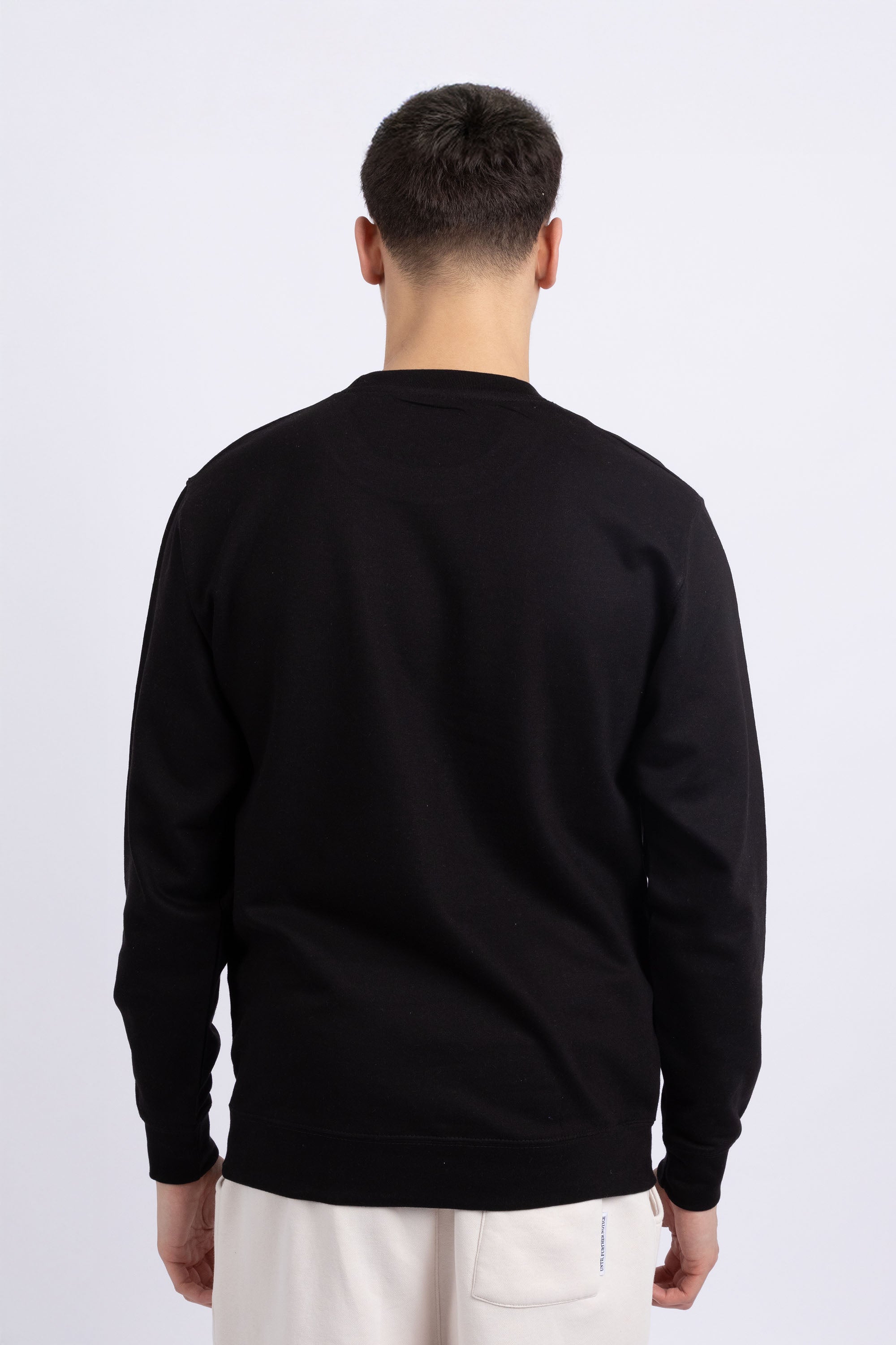 Unisex Crewneck Plain Sweatshirt