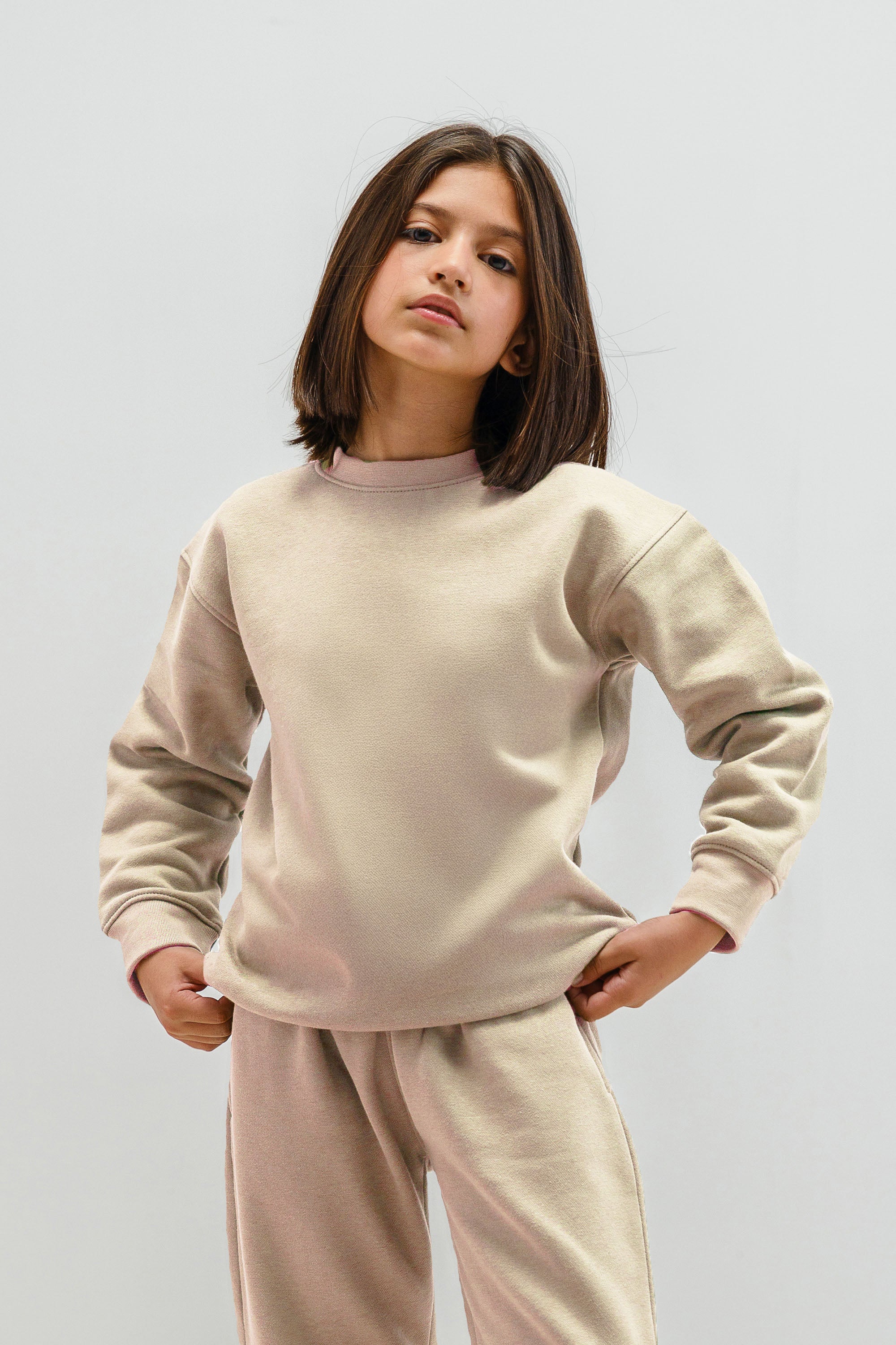 Premium Crew Neck Sweatshirt (Pack of 5)