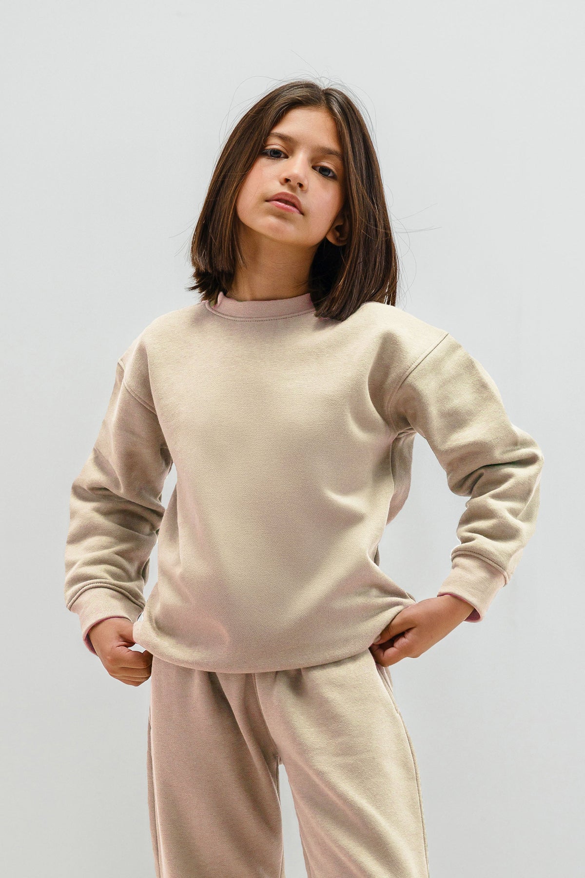 Premium Crew Neck Sweatshirt (Pack of 5)