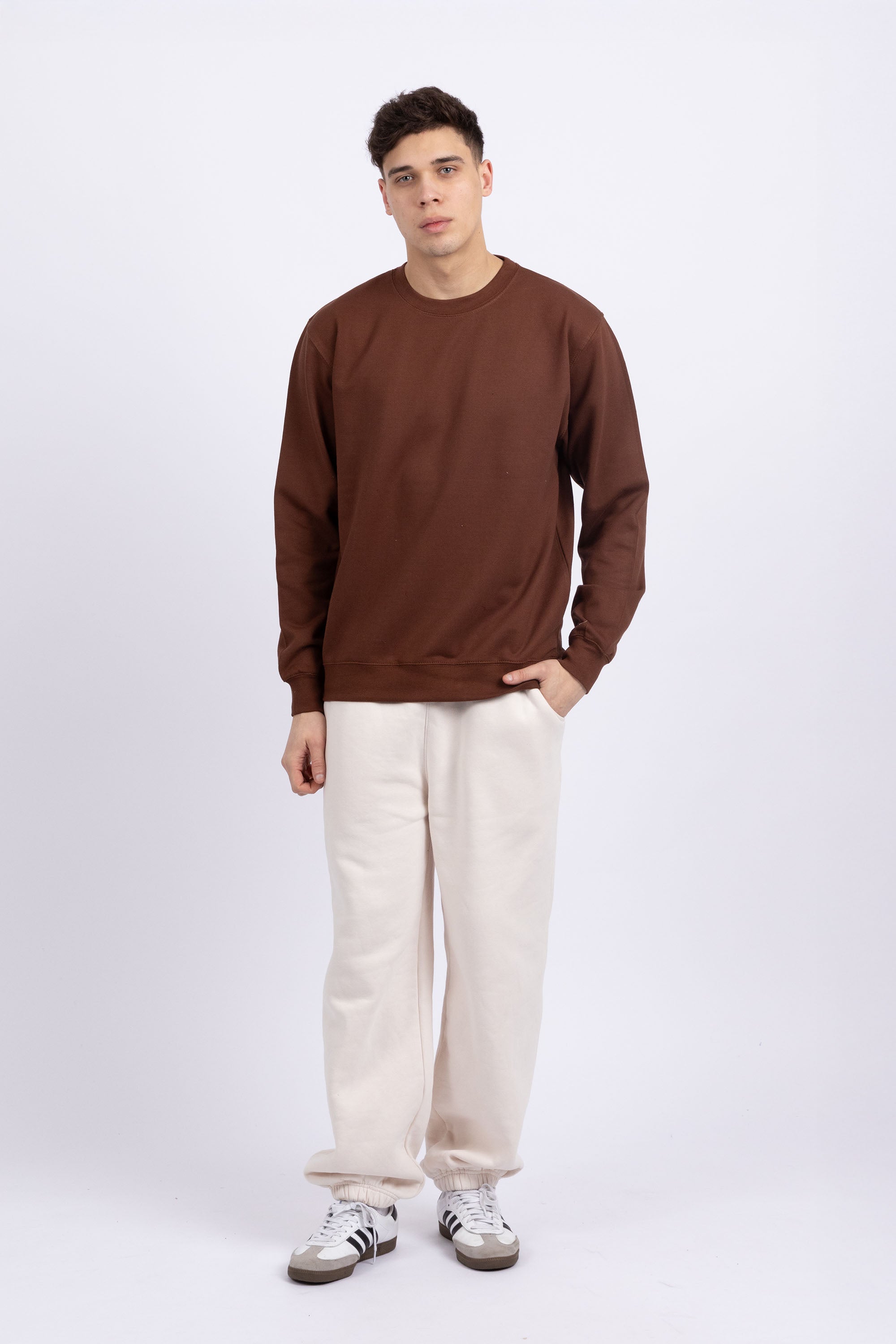 Unisex Crewneck Plain Sweatshirt
