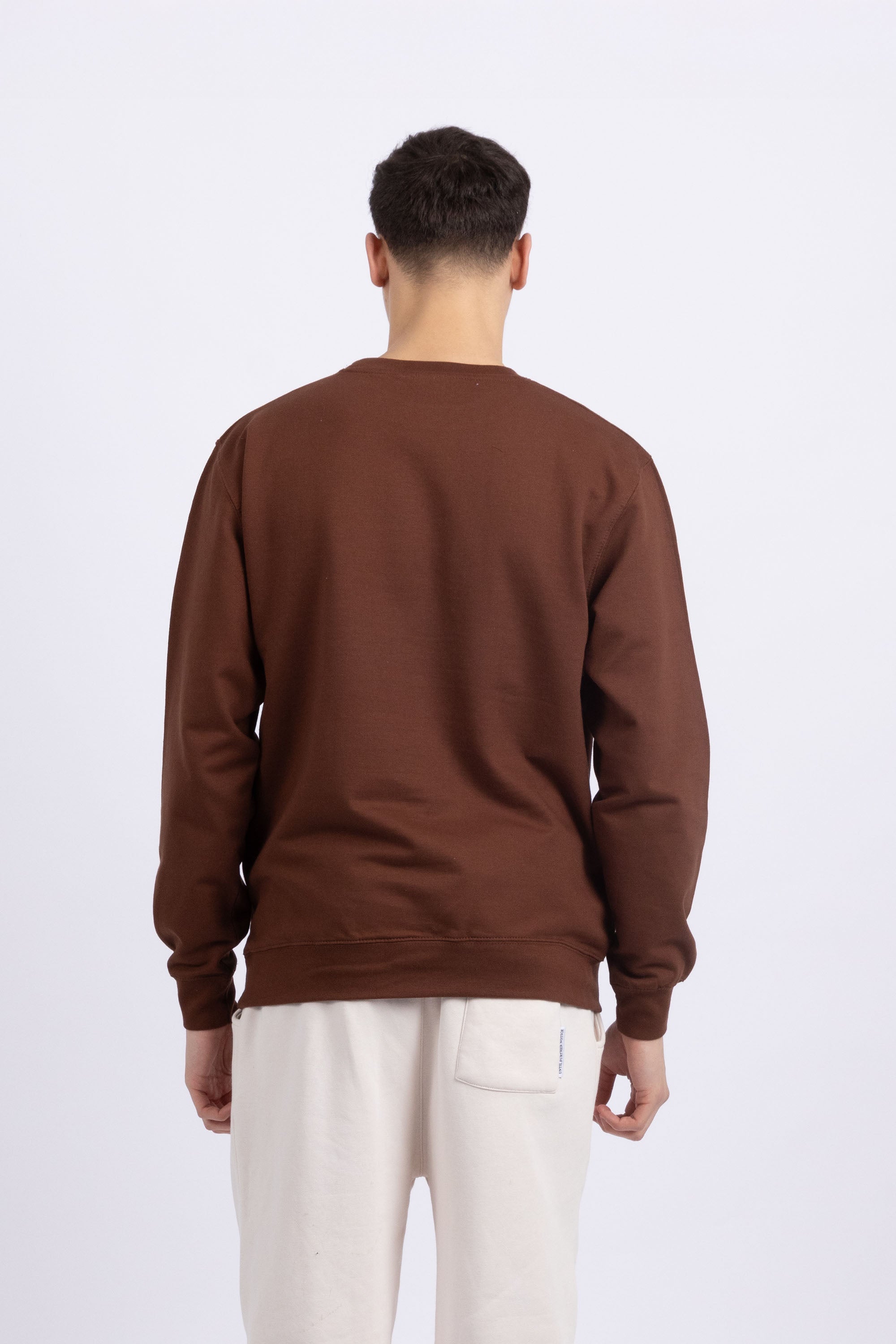 Unisex Crewneck Plain Sweatshirt