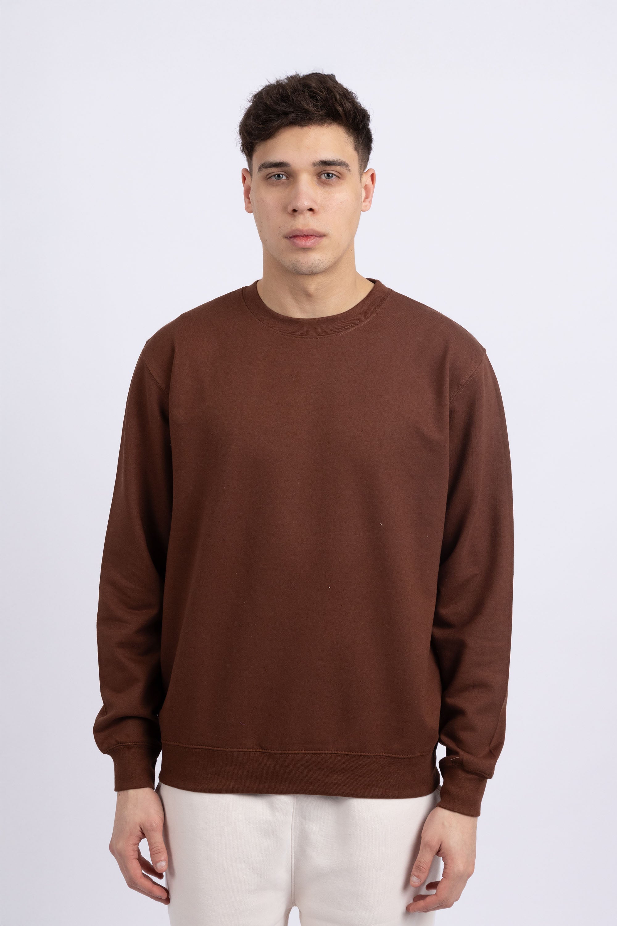 Unisex Crewneck Plain Sweatshirt