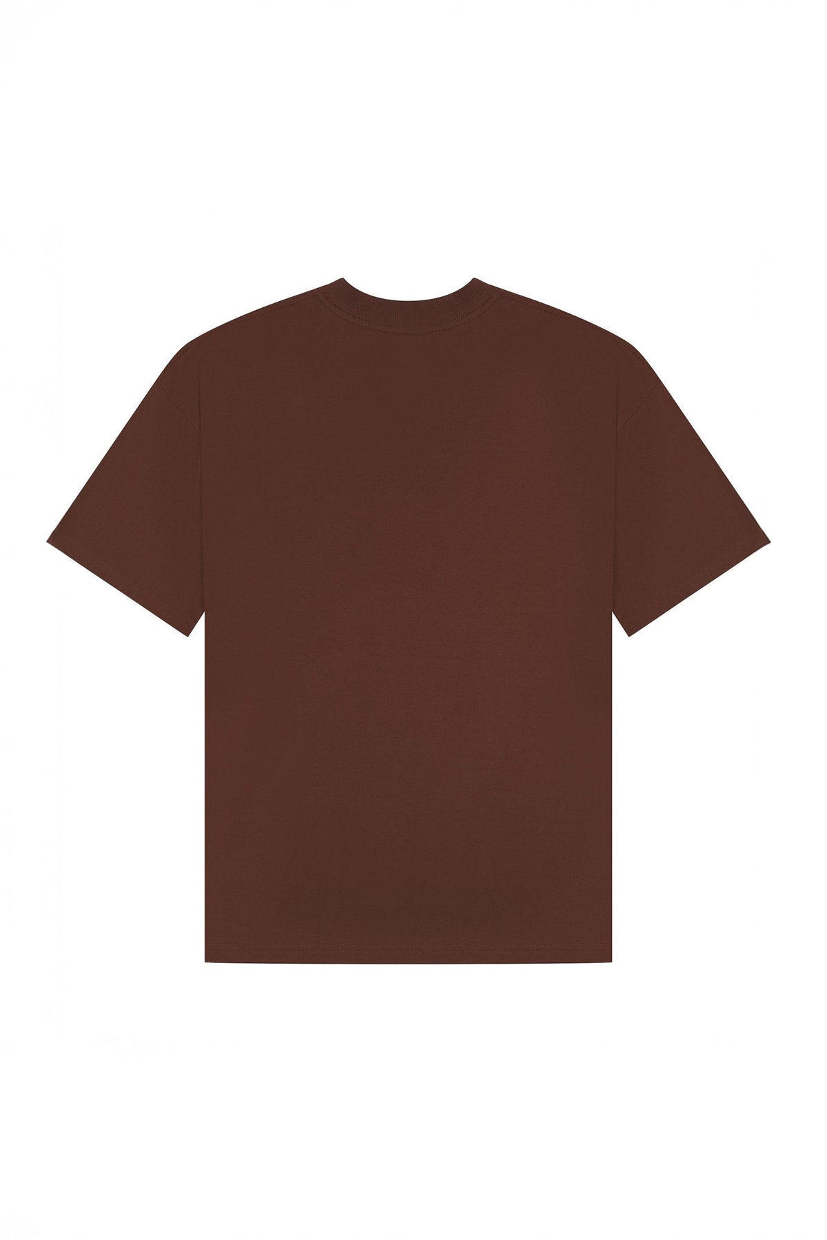 220GSM Oversized Adult Unisex T-Shirt Sample