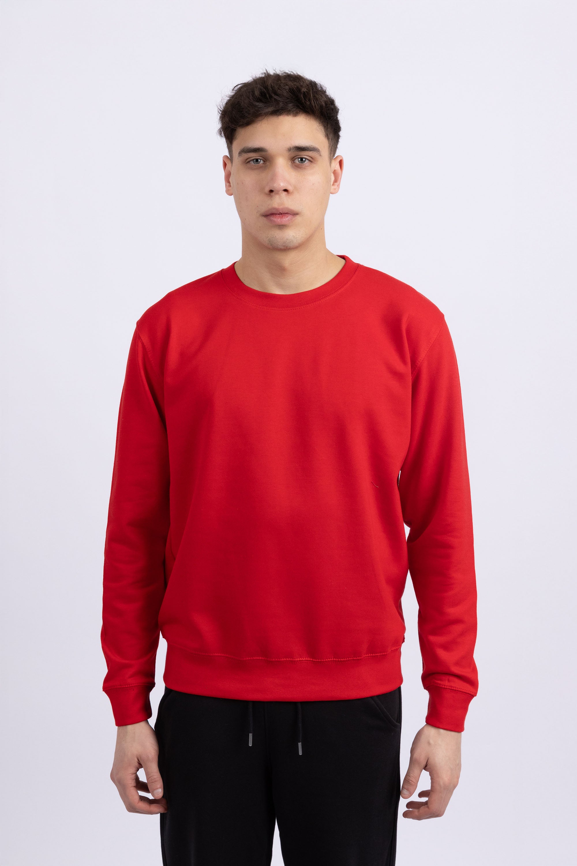 Unisex Crewneck Plain Sweatshirt
