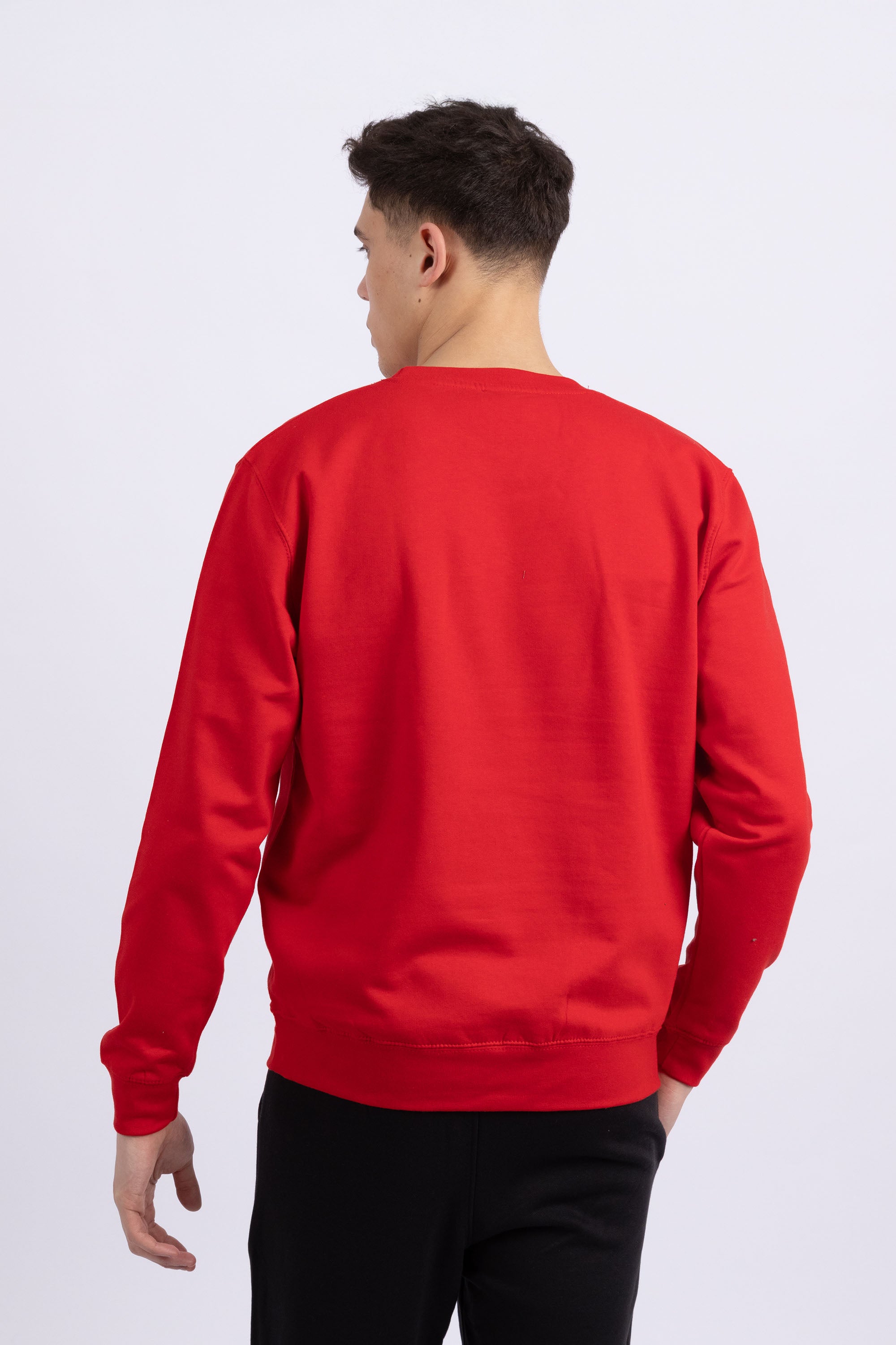 Unisex Crewneck Plain Sweatshirt