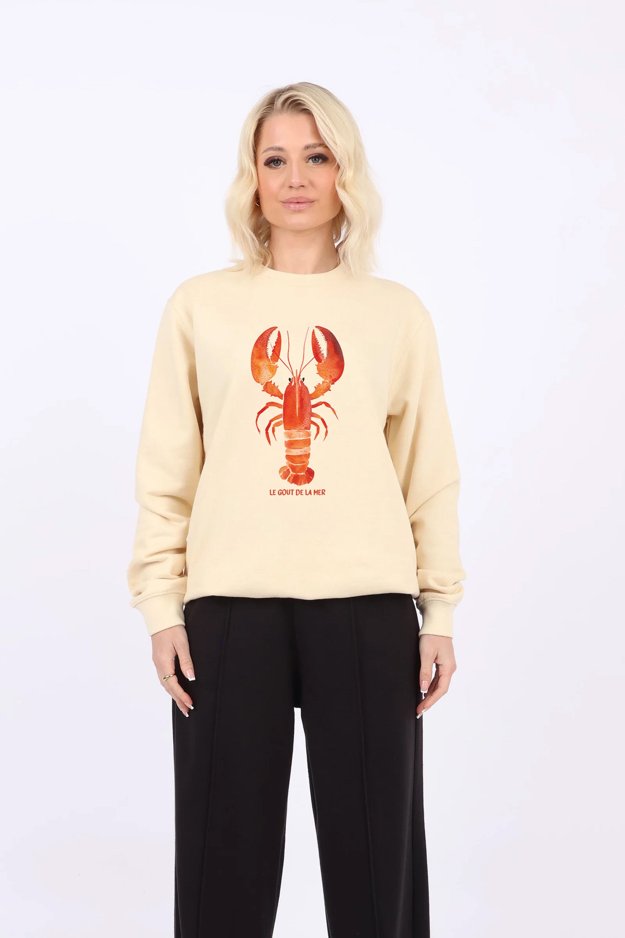 Lobster Seafood Printed Sweatshirts (Pack of 6)