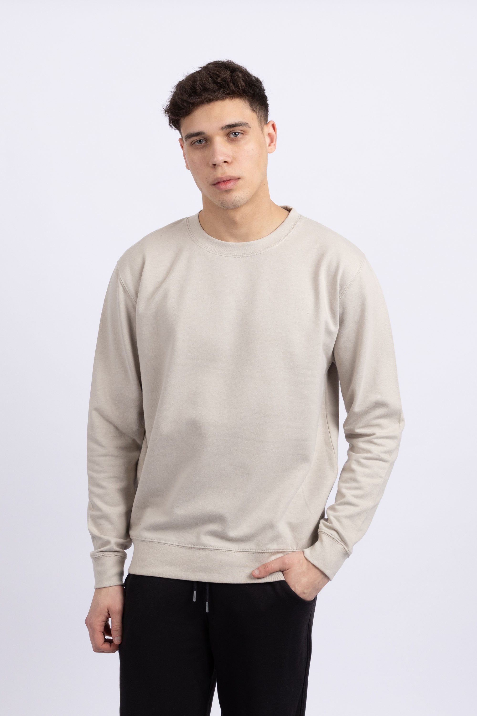 Unisex Crewneck Plain Sweatshirt