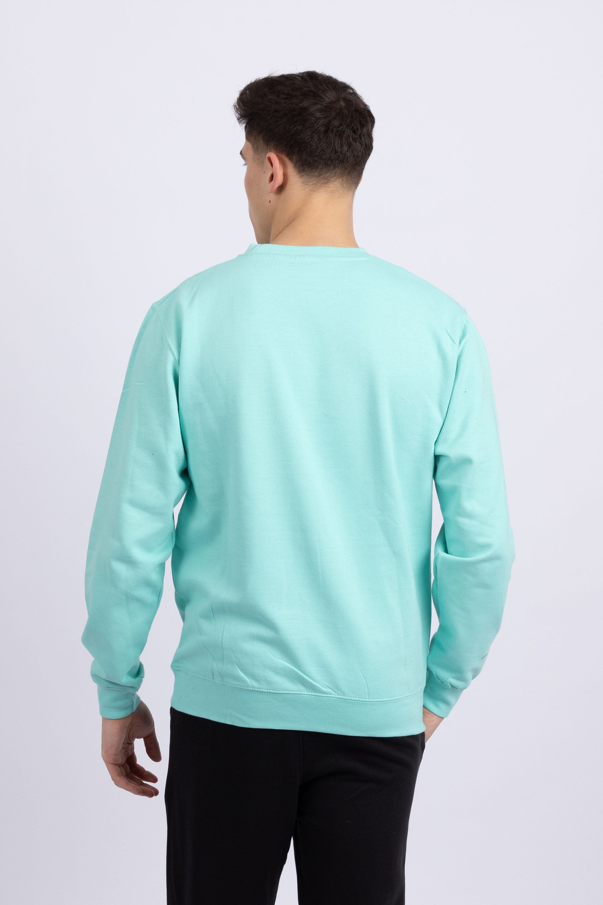 Unisex Crewneck Plain Sweatshirt