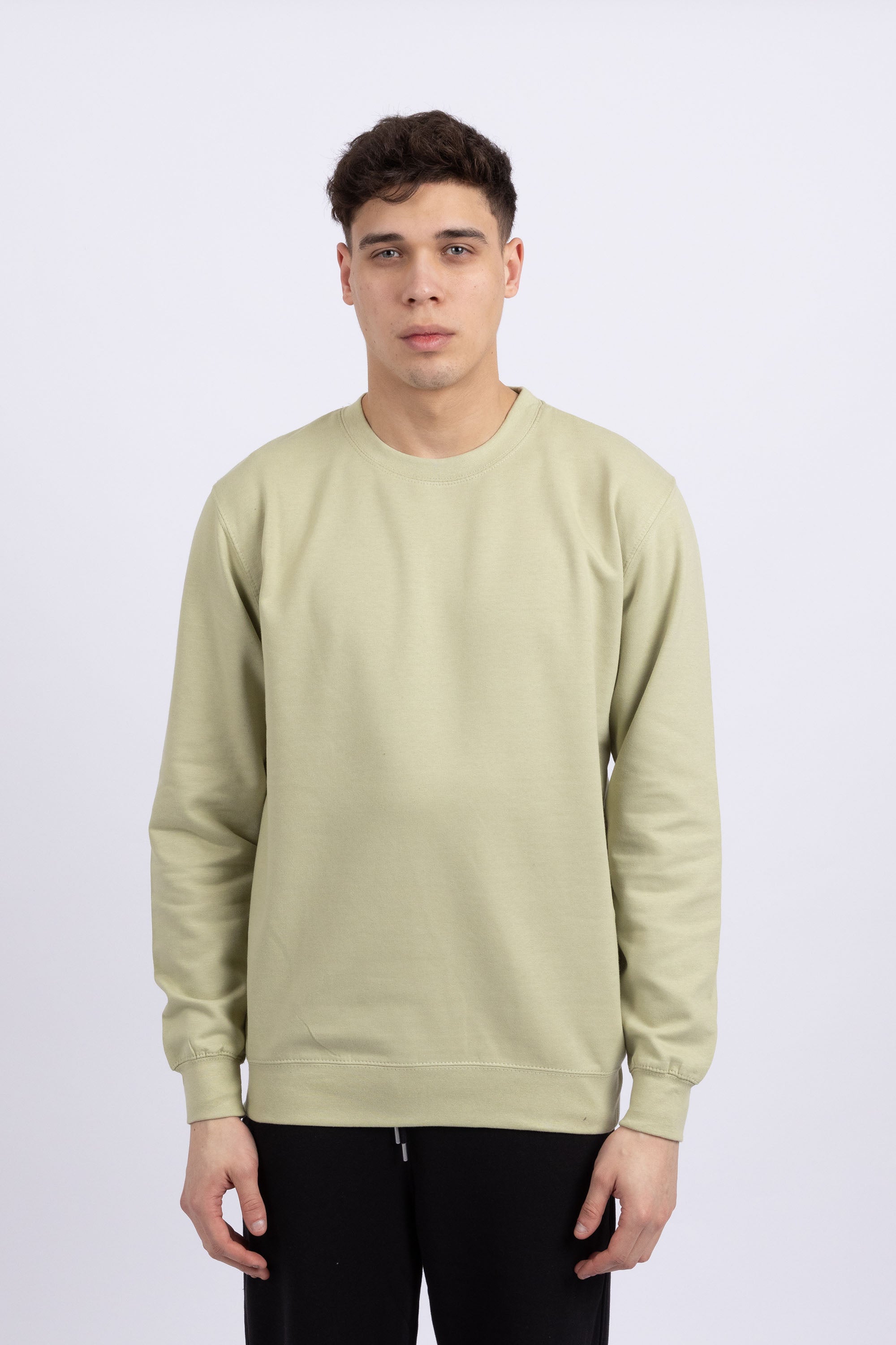 Unisex Crewneck Plain Sweatshirt
