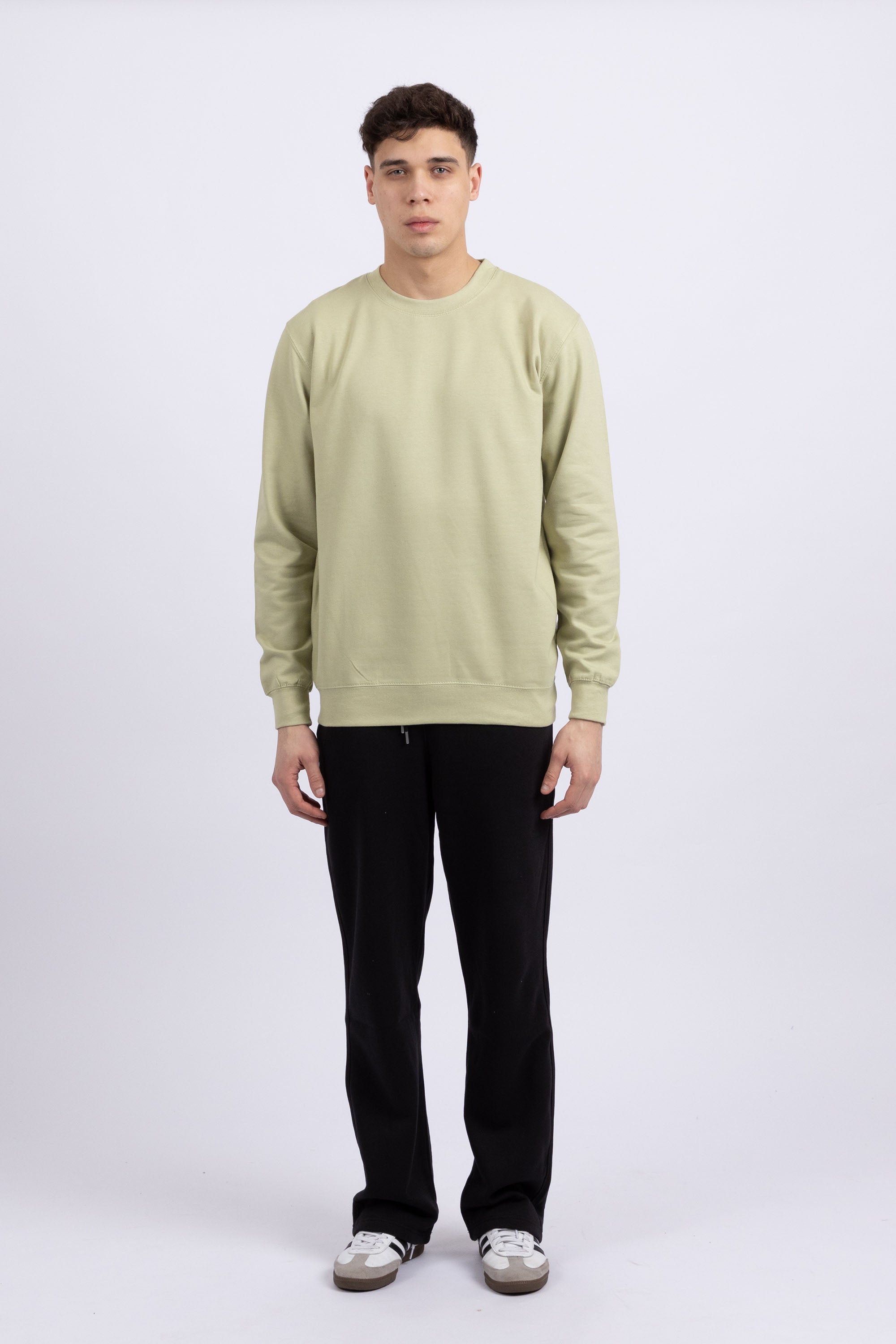 Unisex Crewneck Plain Sweatshirt