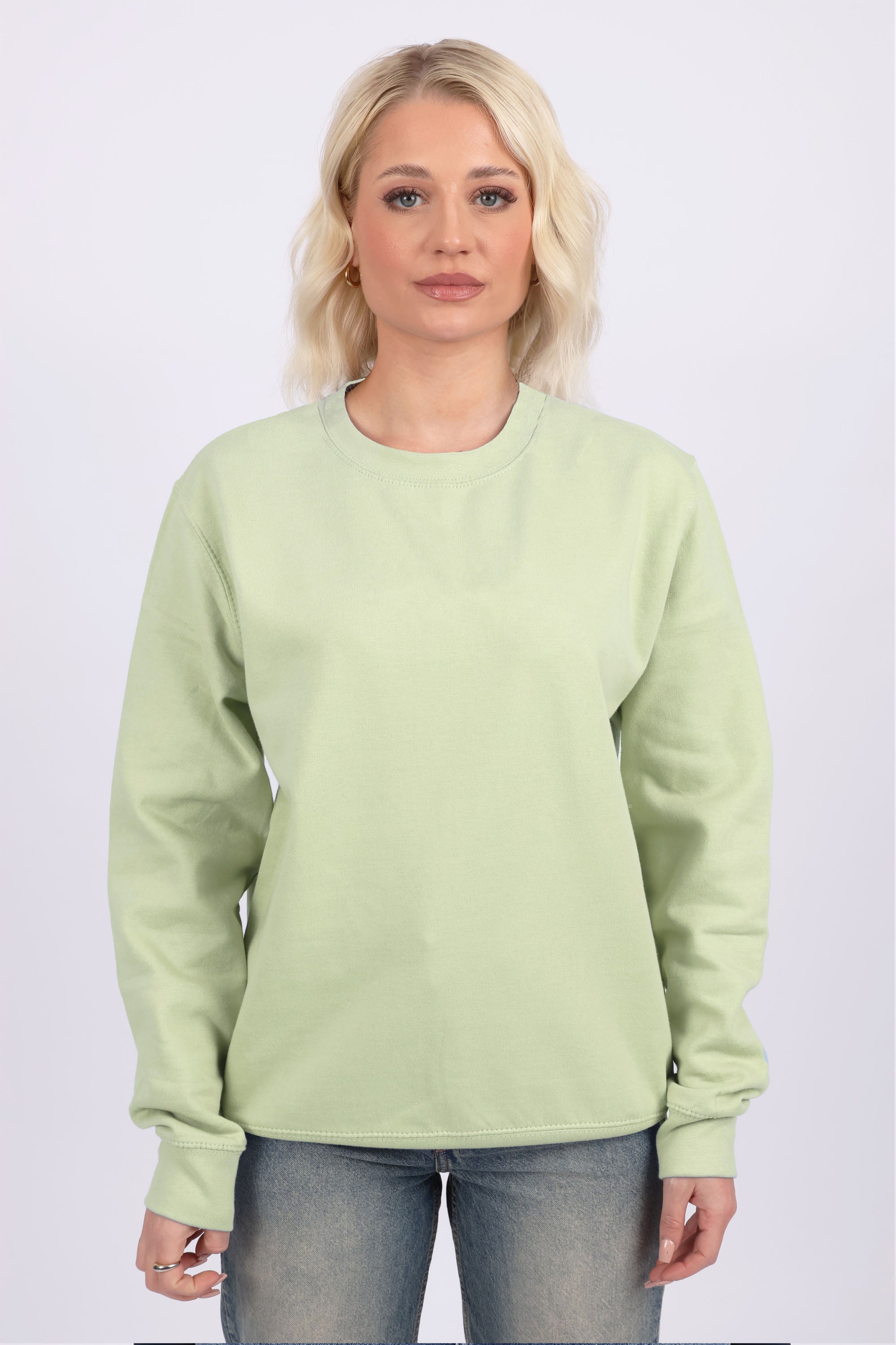 Unisex Crewneck Plain Sweatshirt