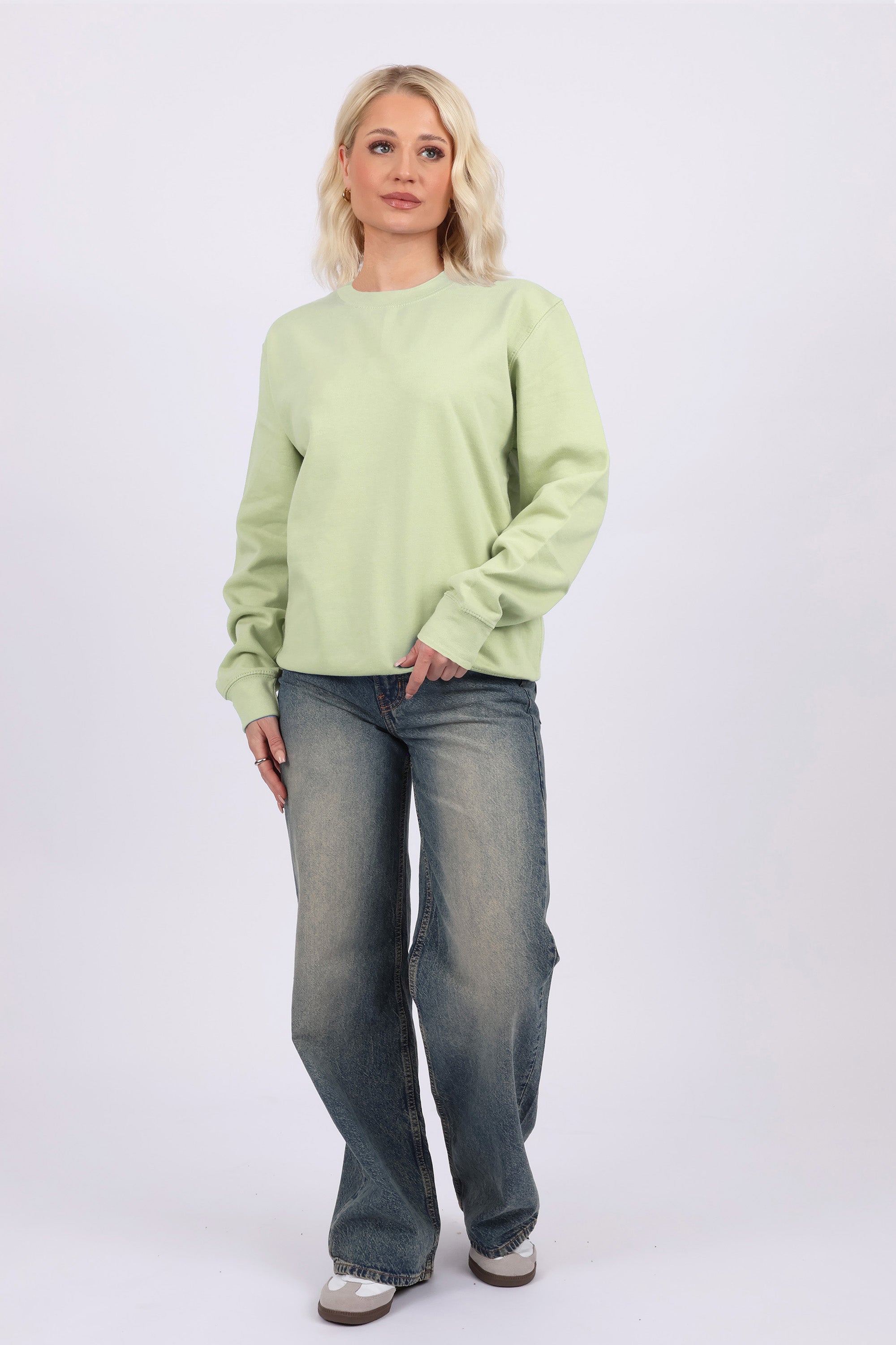 Unisex Crewneck Plain Sweatshirt