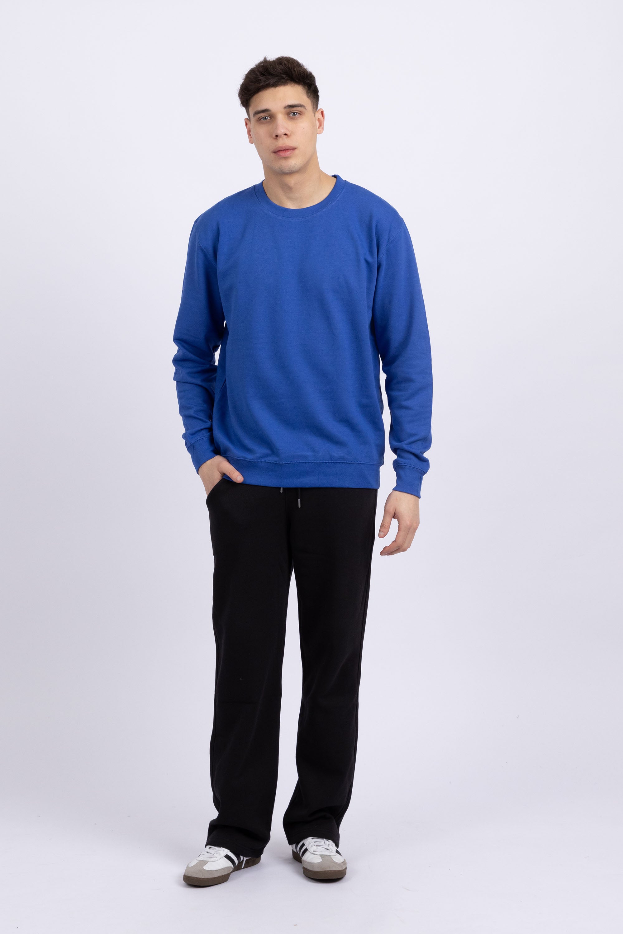 Unisex Crewneck Plain Sweatshirt