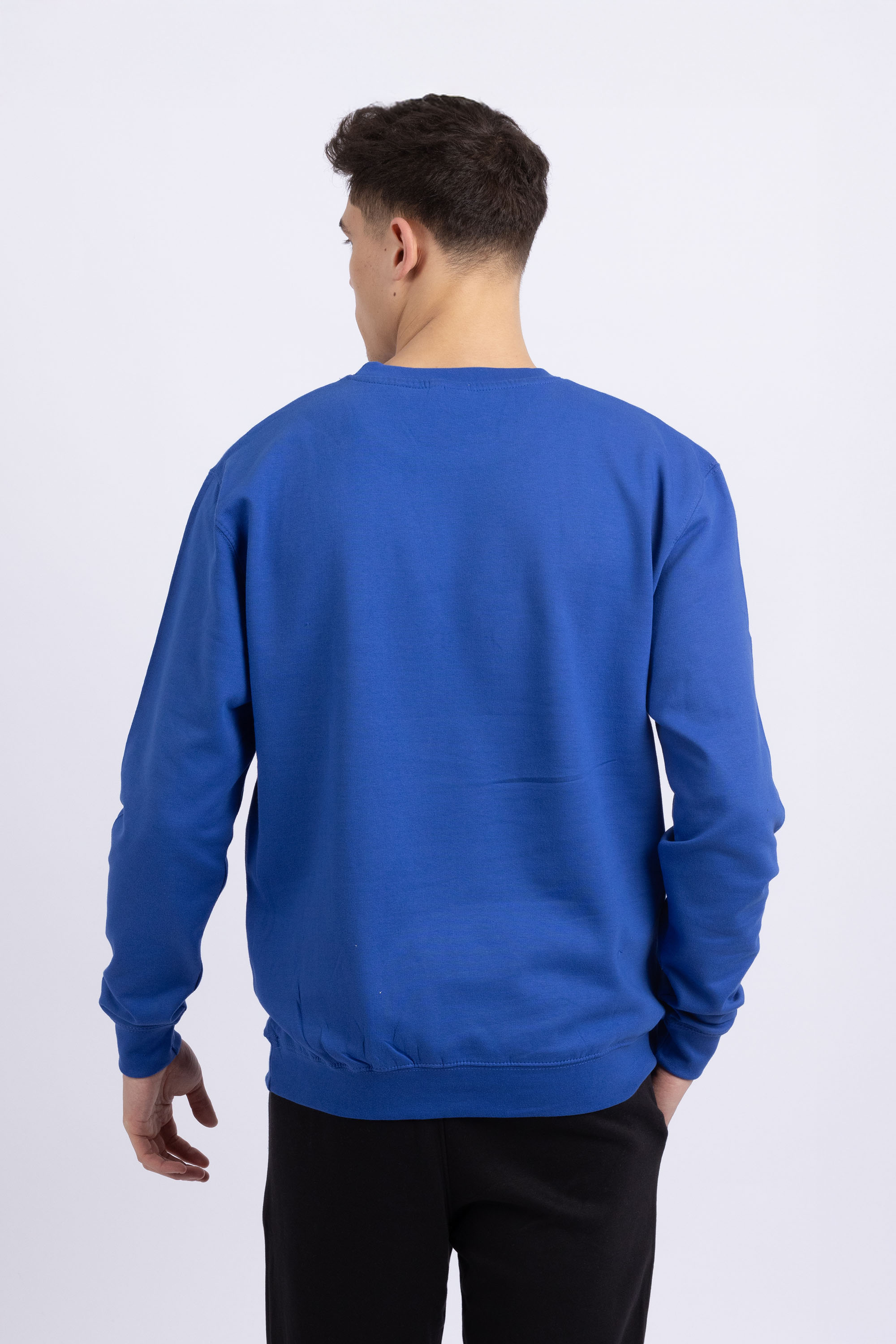 Unisex Crewneck Plain Sweatshirt