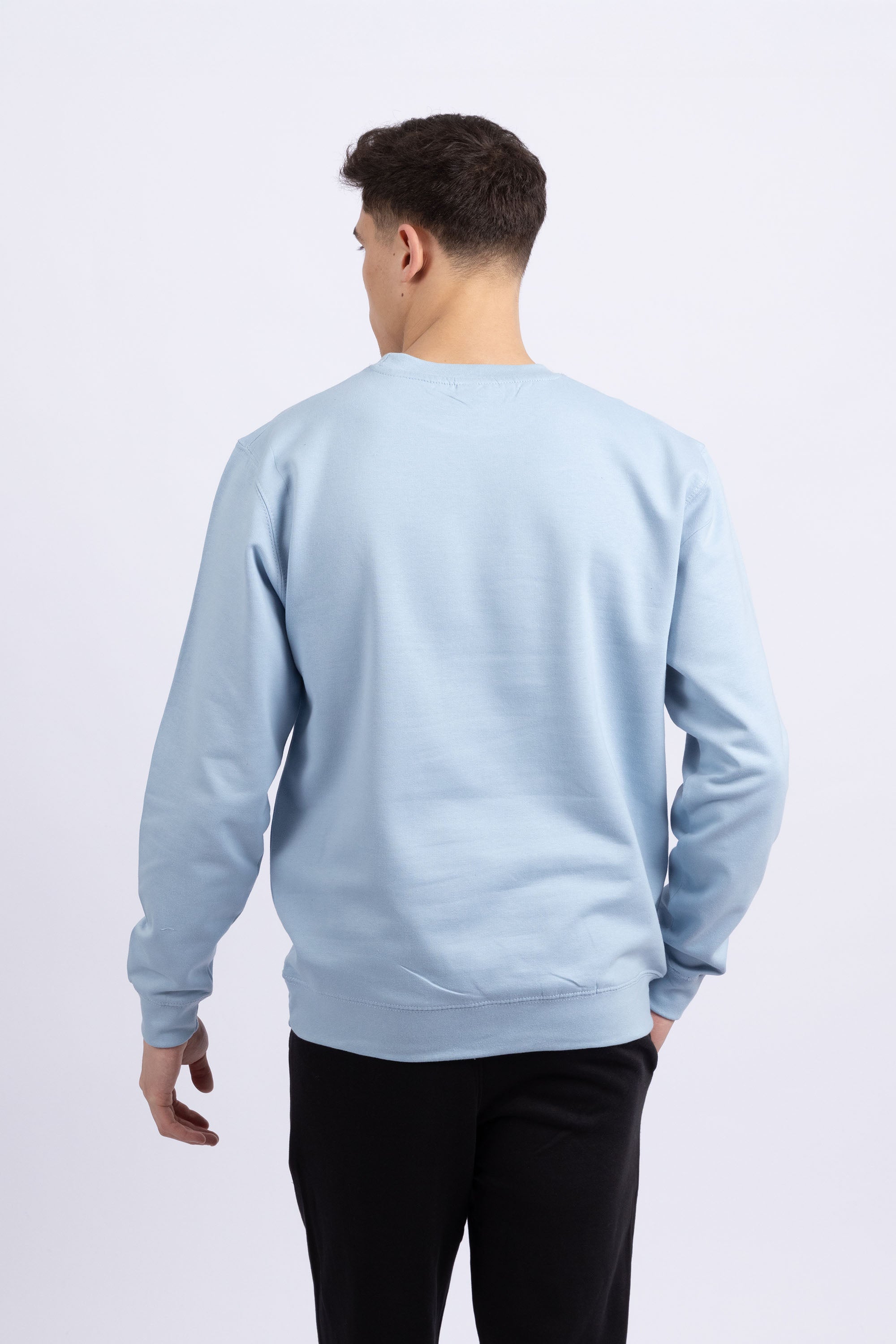 Unisex Crewneck Plain Sweatshirt