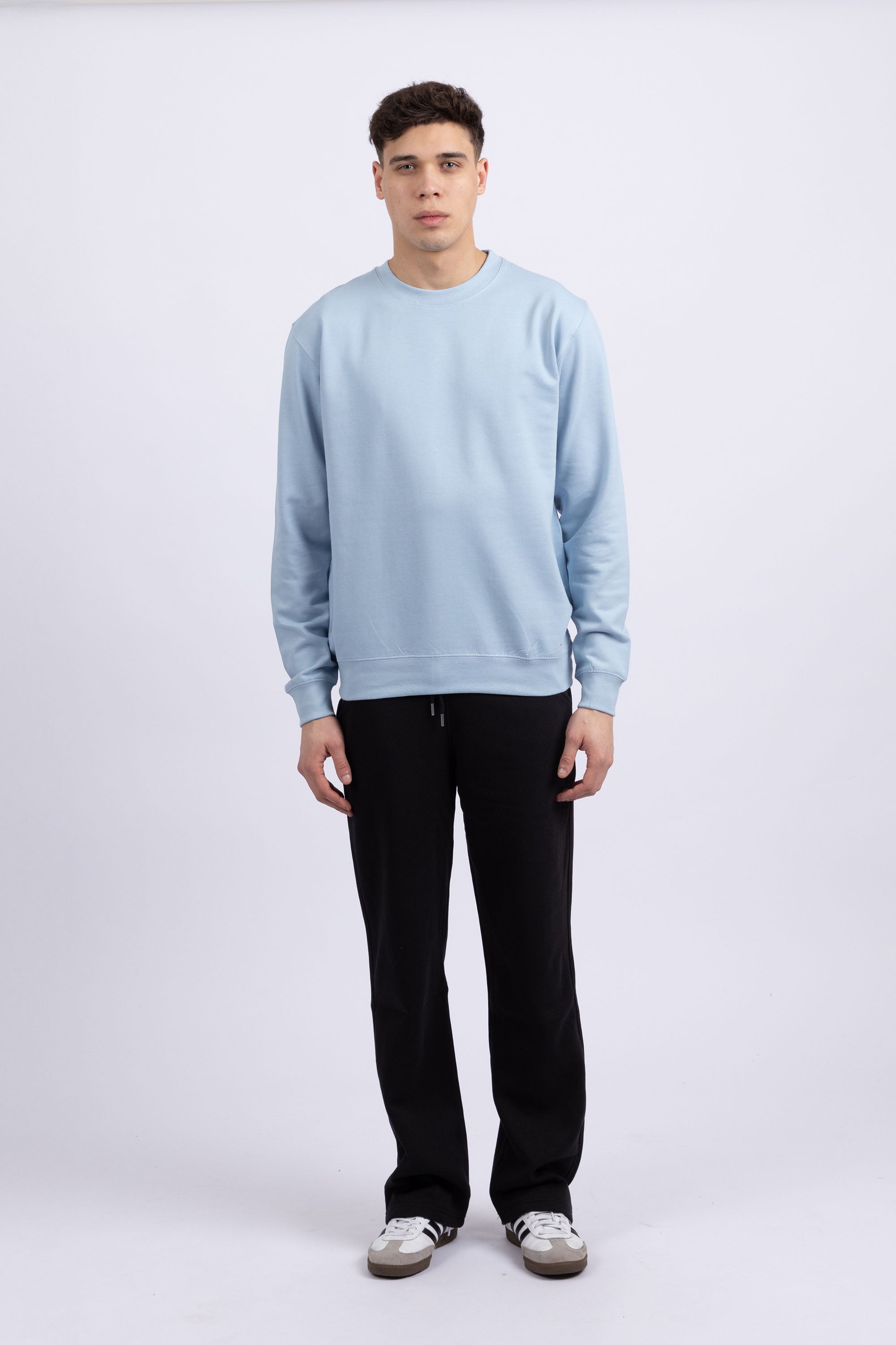 Unisex Crewneck Plain Sweatshirt