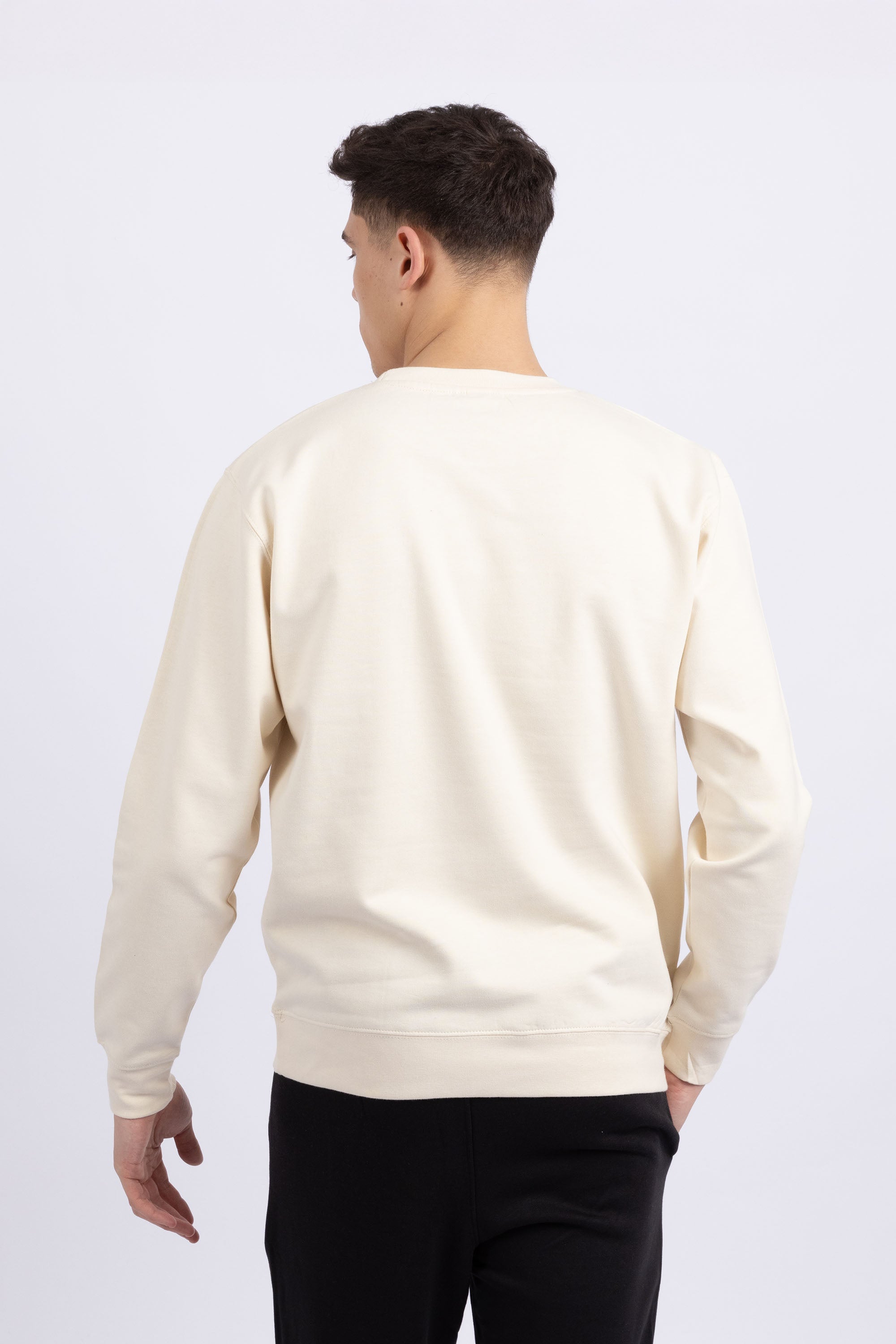Unisex Crewneck Plain Sweatshirt