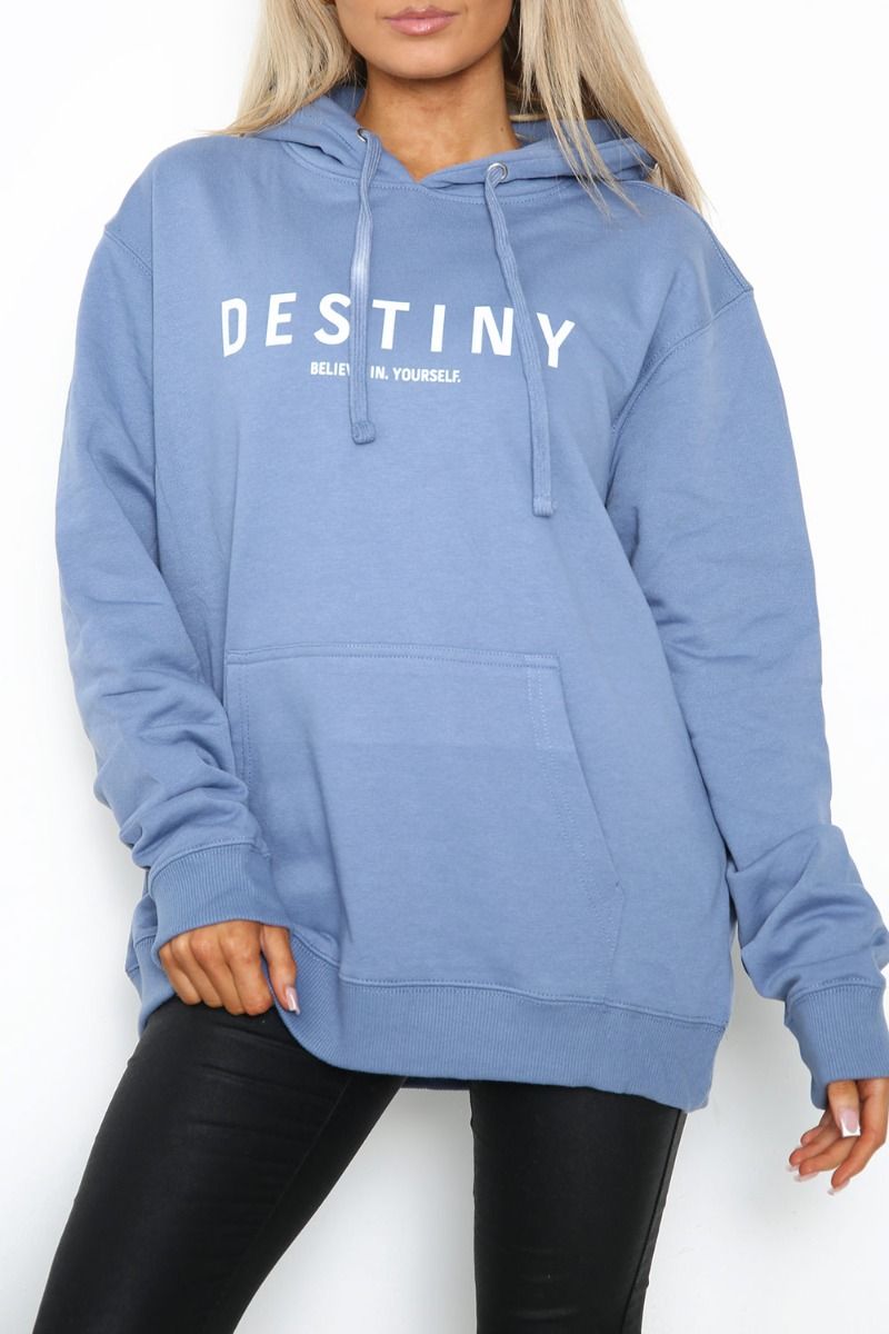 Destiny Slogan Print Hoodie (Pack of 4)