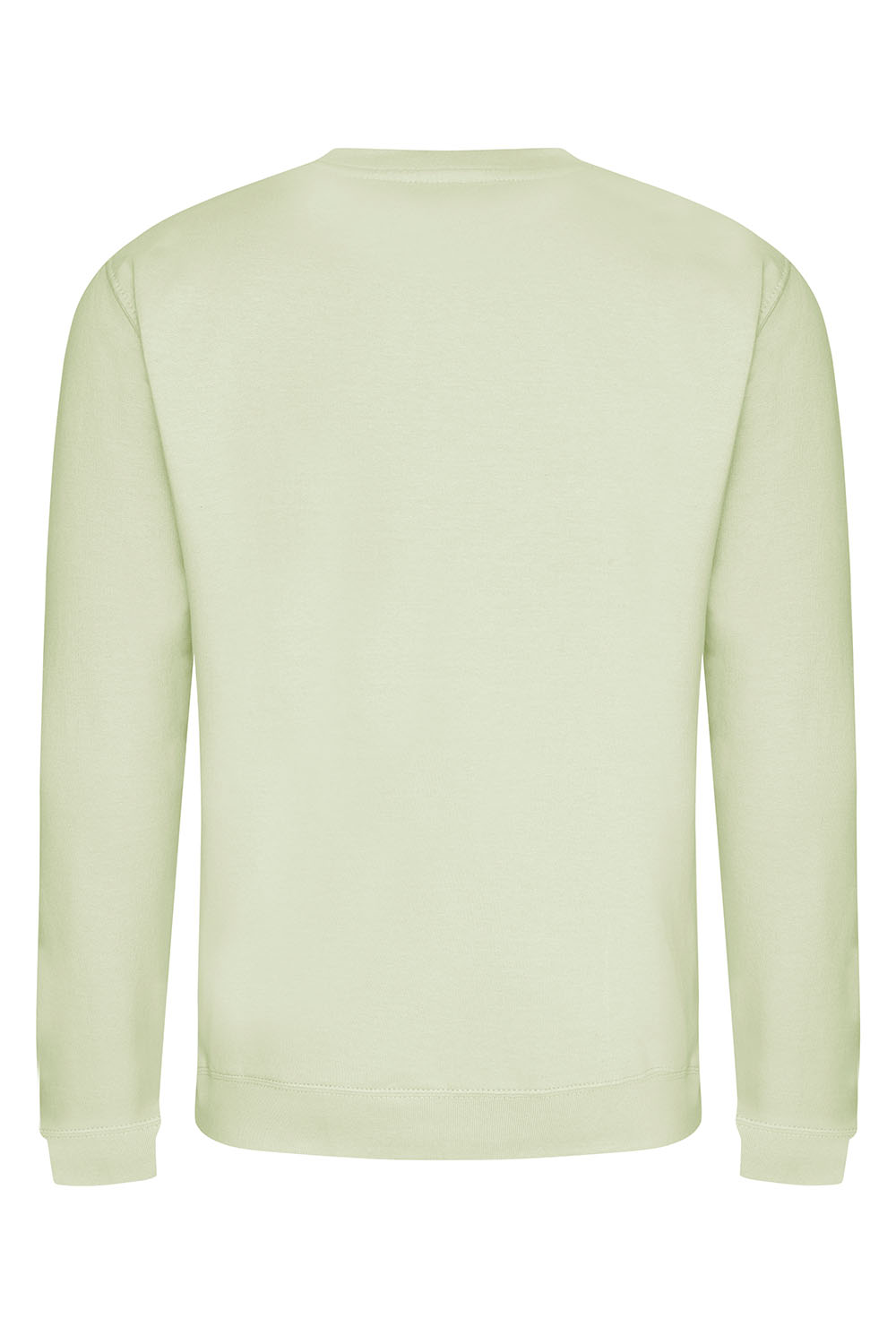 Plain Sweatshirt In Pistachio Green (Single).