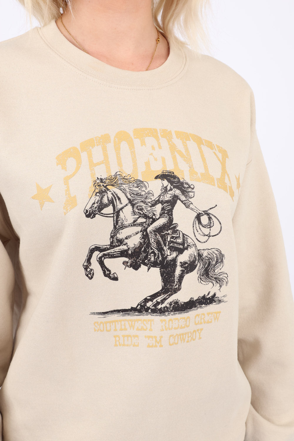 Dry Blend Sweatshirt in Phoenix Print (Pack of 3)